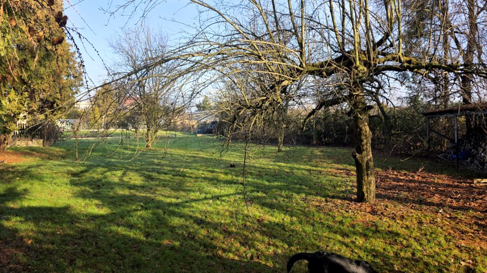 Działka budowlana Pszczyna