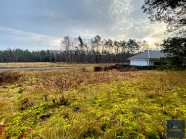 Działka budowlana Dobrzyca