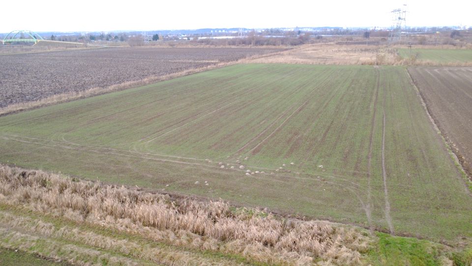 Działka rolna Gdańsk