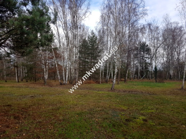 Działka budowlana Makówka