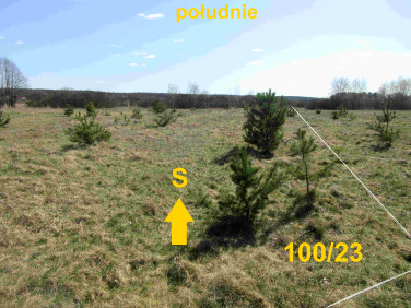 Działka inna Łośno