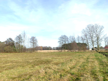 Działka budowlana Rogów sprzedam