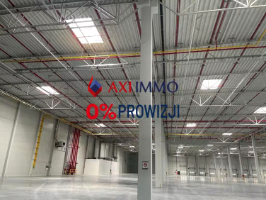 Budynek użytkowy Wężerów wynajem