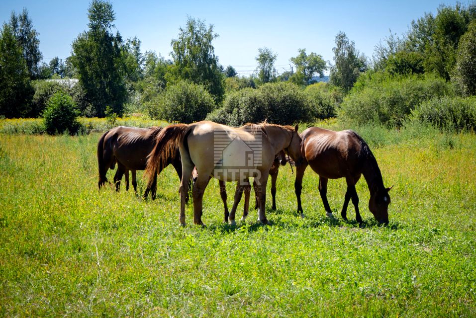Działka budowlana Jodłówka