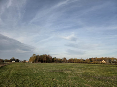 Działka budowlana Lubasz