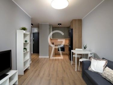 Mieszkanie apartamentowiec wynajem