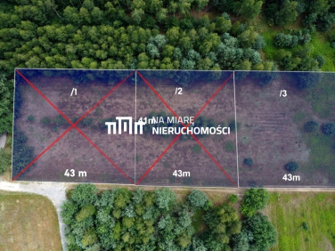 Działka budowlana Kłoda