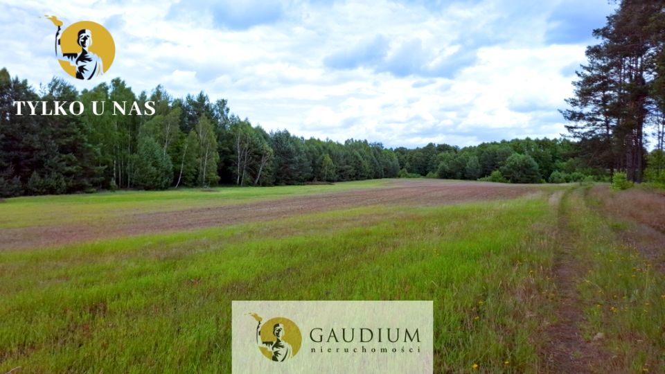 Działka przy lesie
