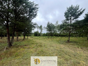 Działka rekreacyjna Nowa Karczma