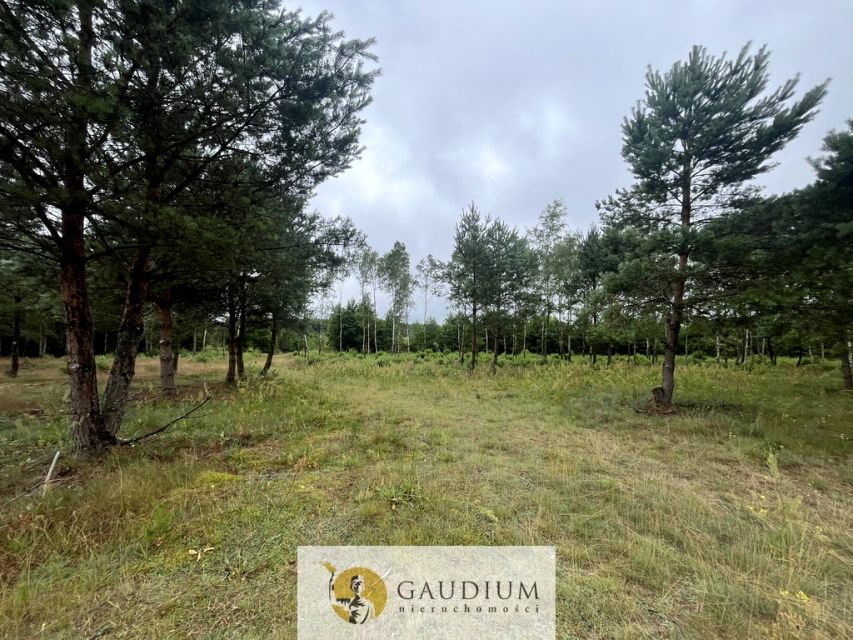 Działka rekreacyjna Nowa Karczma