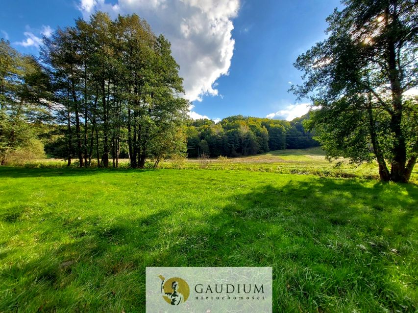 Działka nad jeziorem