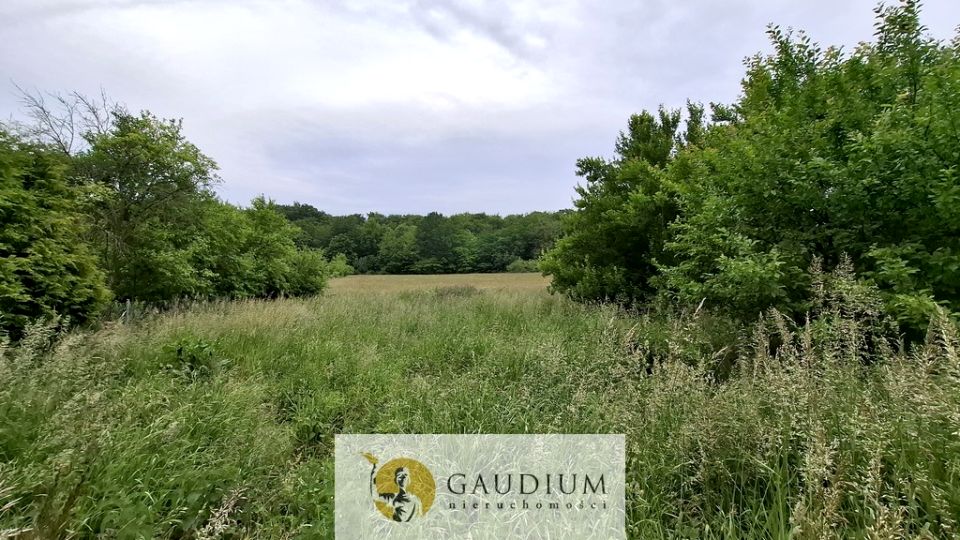 Działka budowlana buszkowy górne