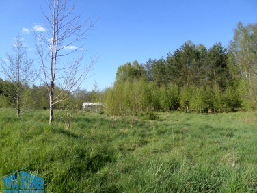 Działka rolna Niezabyszewo