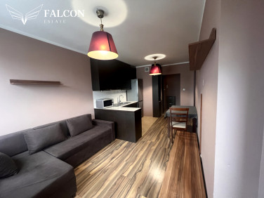 Mieszkanie Wrocław wynajem