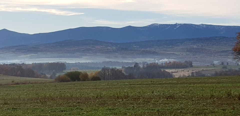 Działka rolna Pasiecznik