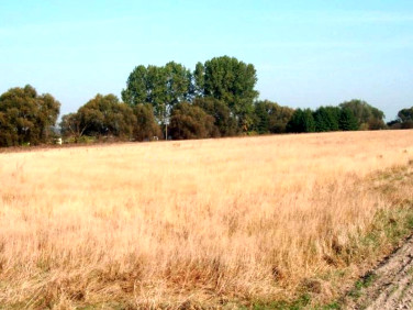 Działka rolna Gortatowo