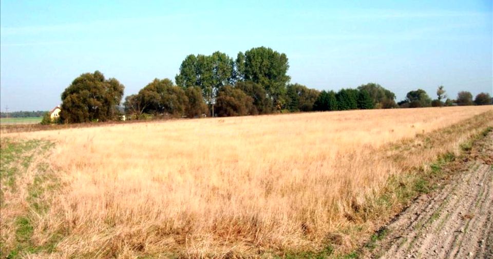 Działka rolna Gortatowo