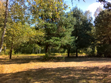 Działka inwestycyjna sprzedam