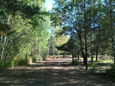 Działka inwestycyjna Duchnów