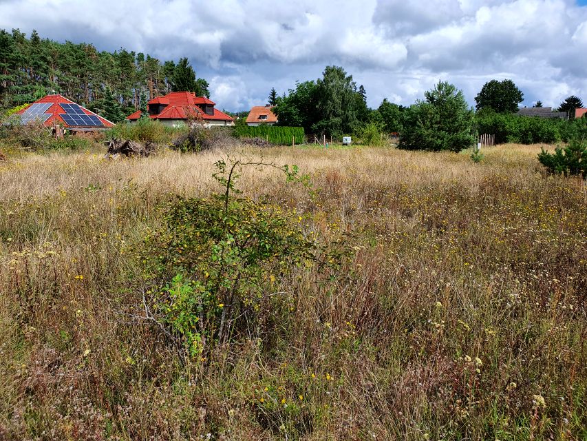 Działka budowlana Witnica