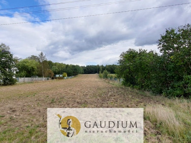Działka budowlana Koteże