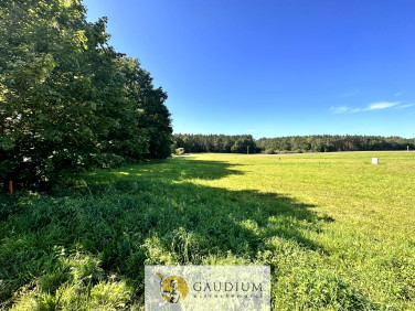 Działka budowlana Siemianice