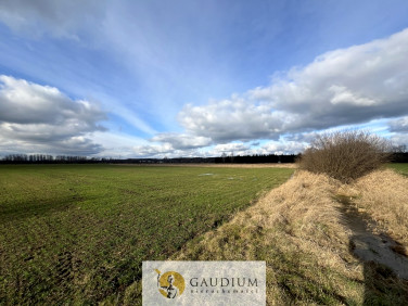 Działka rolna Gdańsk