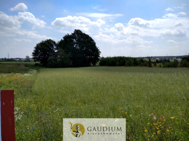 Działka budowlana Przyjaźń