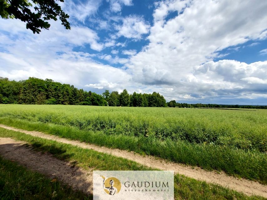 Działka Borkowo Lęborskie