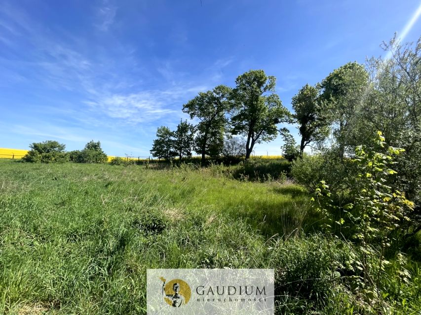 Działka Arciszewo