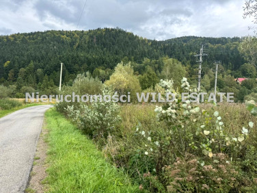 Działka budowlano-rolna Krzywe
