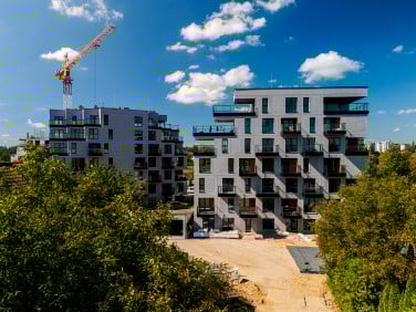 Panorama Kwiatkowskiego River