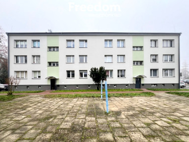 Mieszkanie przy lesie