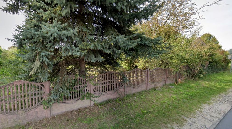 Działka Starzyny