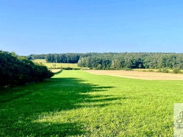 Działka budowlana Siodłkowice