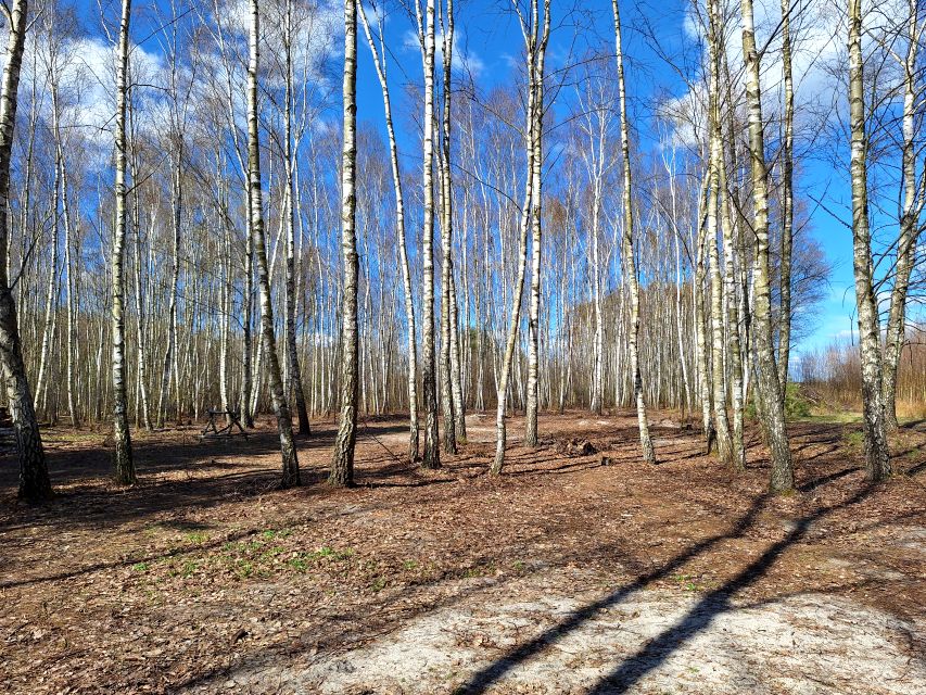 Działka rolno-leśna sprzedam