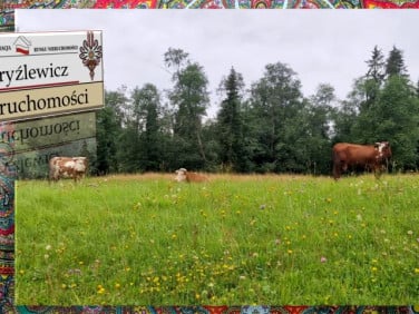 Działka Stare Bystre