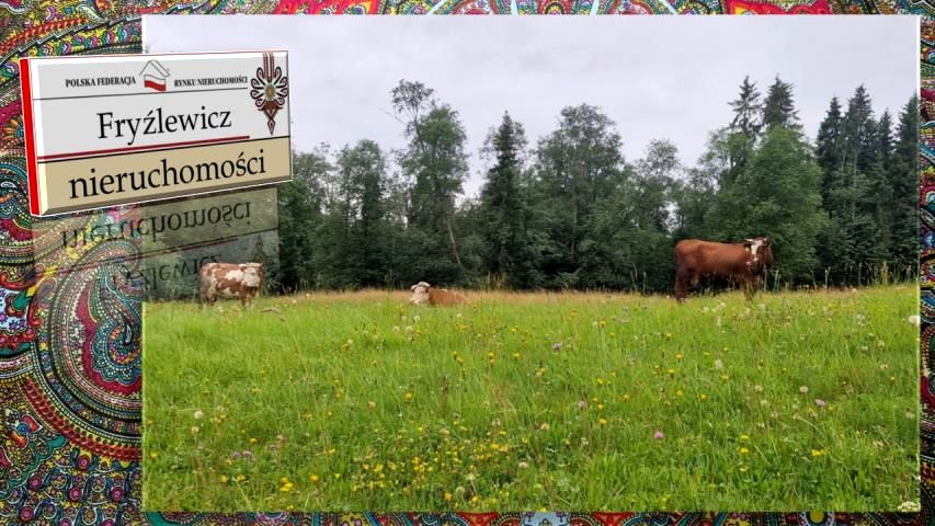 Działka Stare Bystre