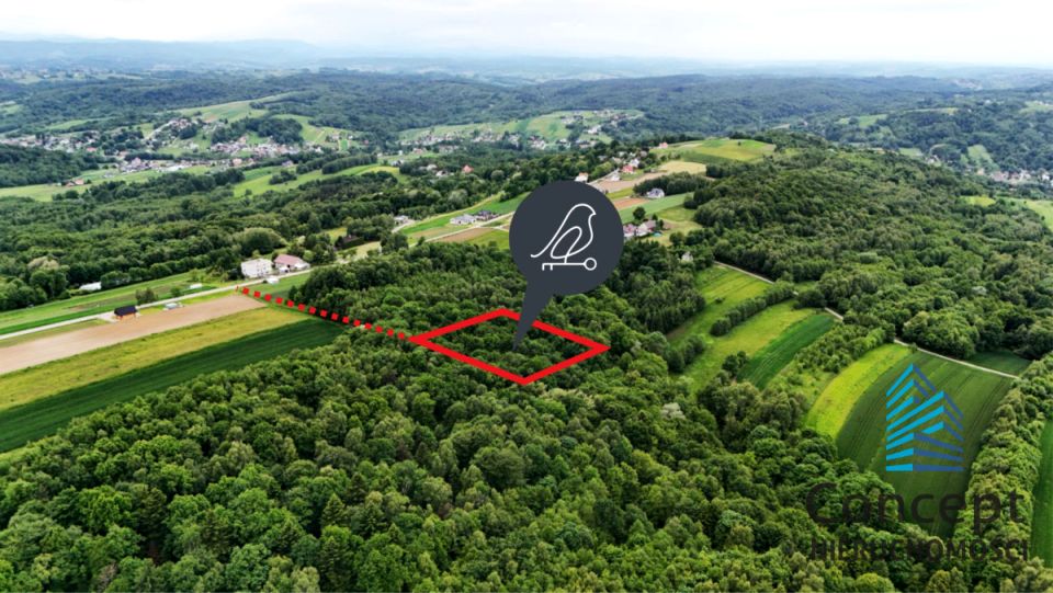 Działka Porąbka Uszewska