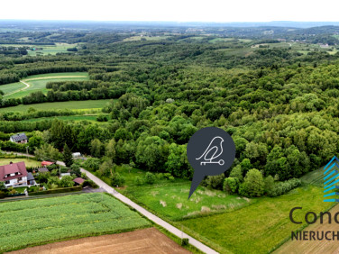 Działka Porąbka Uszewska