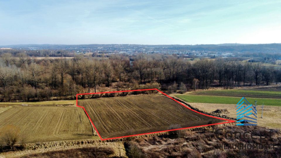 Działka rolna Damienice