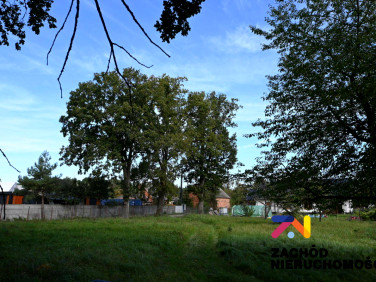 Działka budowlana Sucha