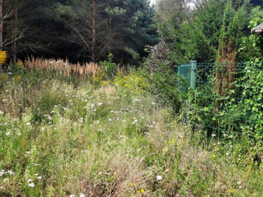 Działka budowlana Kamionki