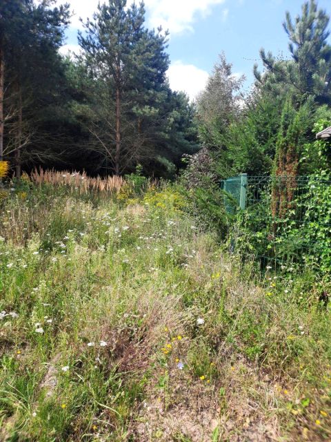 Działka budowlana Kamionki