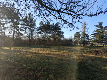 Działka budowlana Ligota Prószkowska