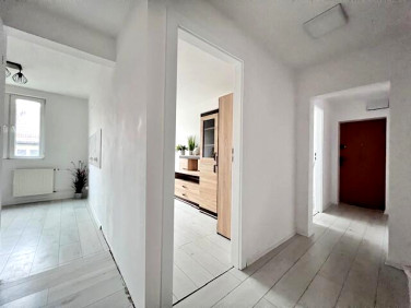 Mieszkanie blok mieszkalny Siechnice