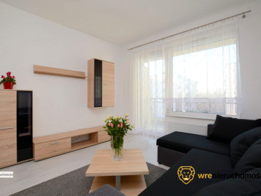 Mieszkanie blok mieszkalny wynajem