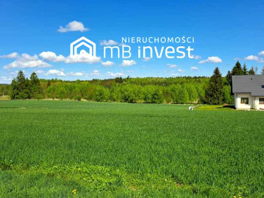 Działka budowlana Żuławka