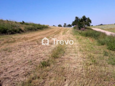 Działka budowlana Goszczyno