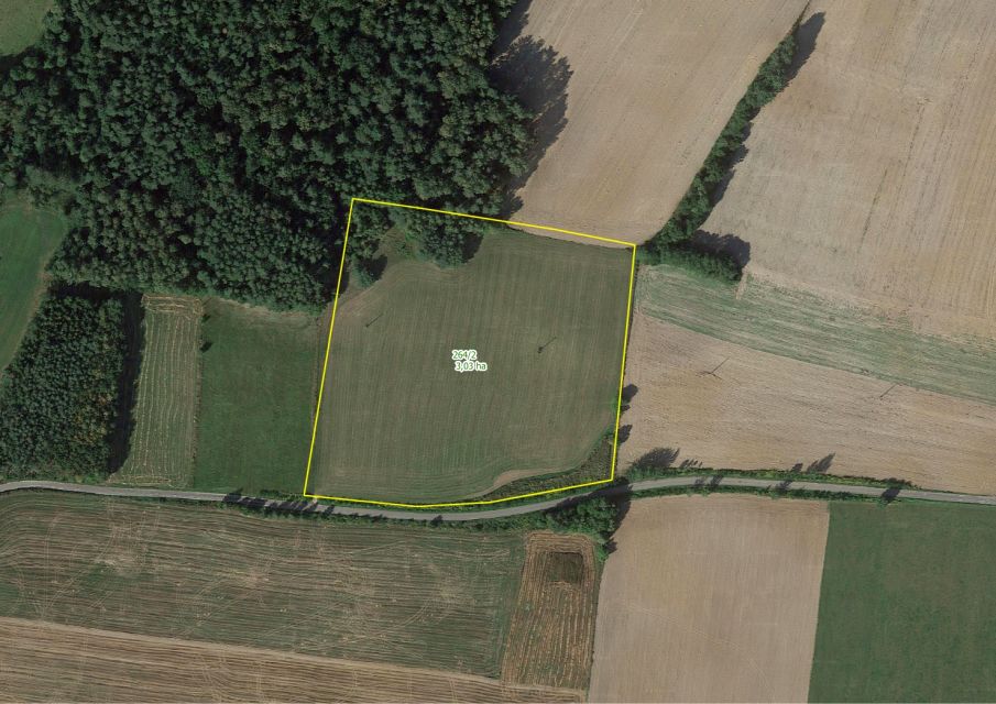 Działka rolna Grabowo